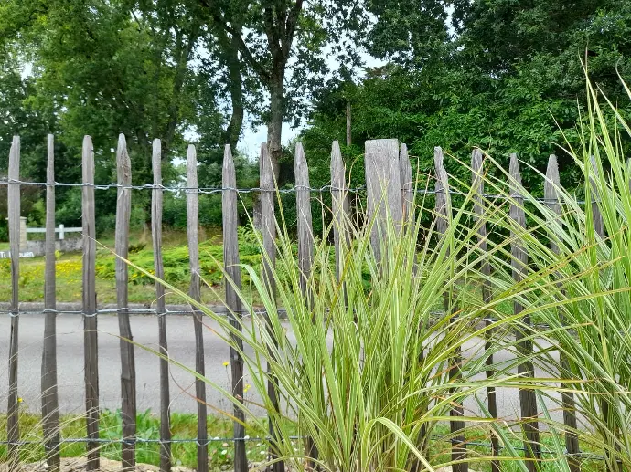 Clôture en ganivelles et poteaux châtaigniers