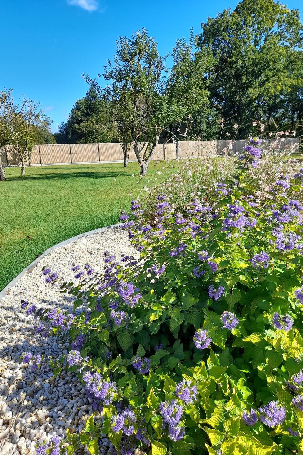 Massif planté avec bordure galva