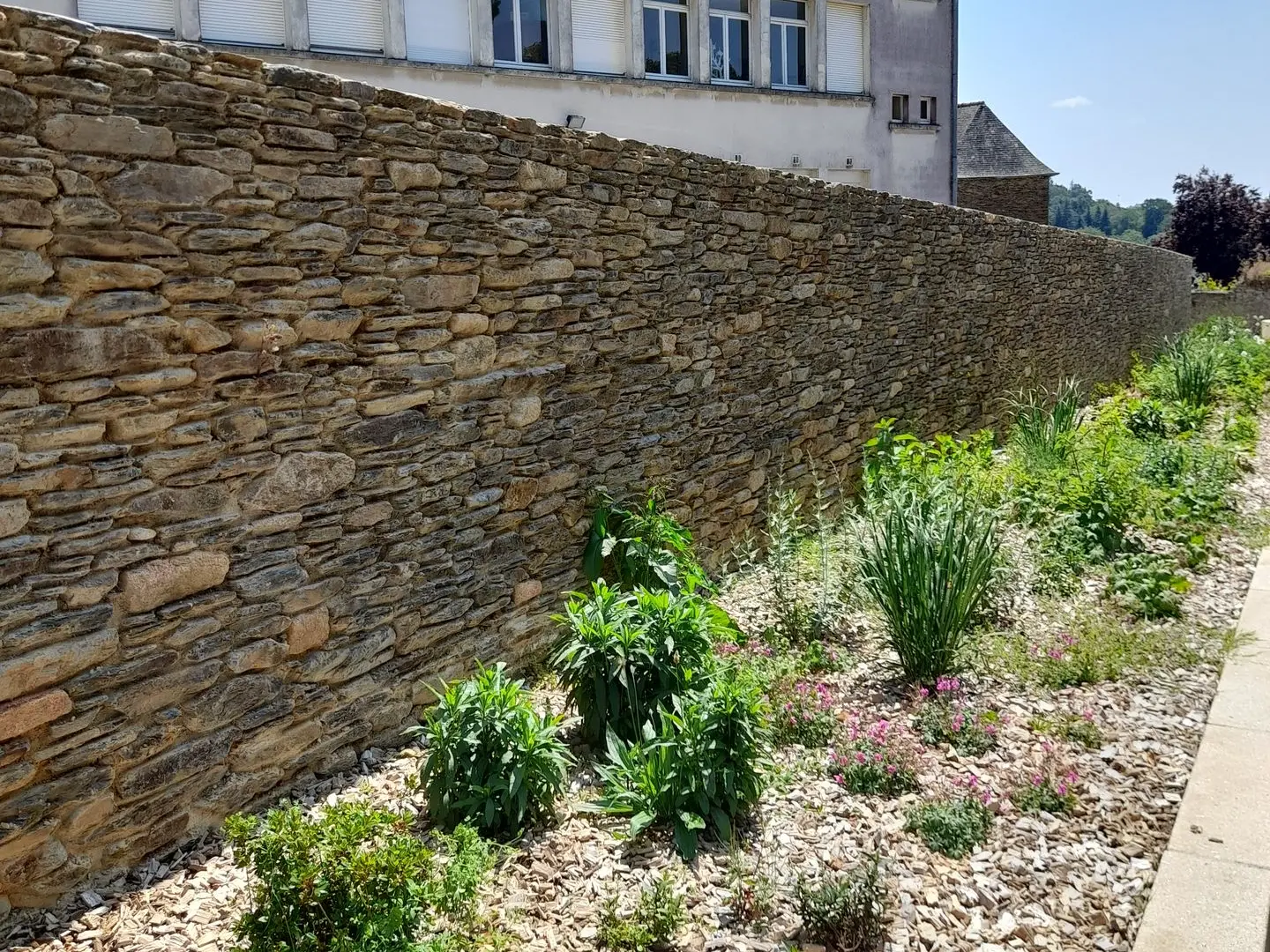 Mur en schiste ardoisier, pierre de démolition, pierre sèche, arase visible